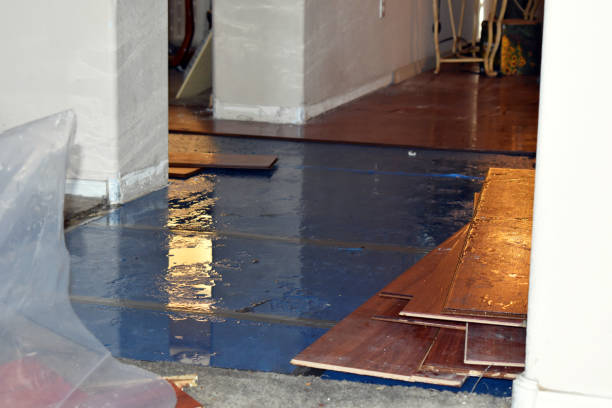 Professional Structural Drying technician working in Blue Rock, OH